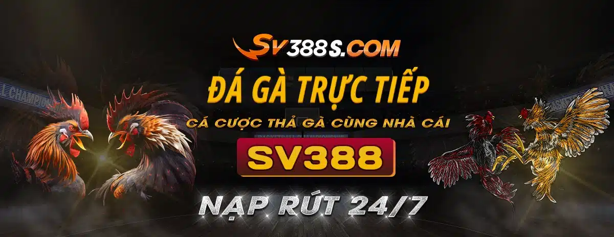 Đá Gà Trực Tiếp Chat – Sân Chơi Uy Tín Hàng Đầu Đam Mê Đá Gà tận nơi cái topclub